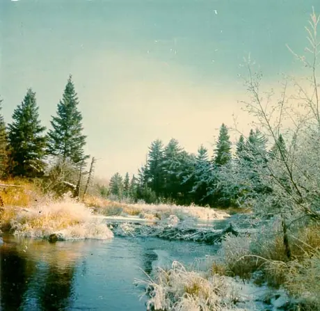 Early snow