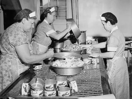 Packing cooked lobster meat into cans : E. Paturel Limited Cannery