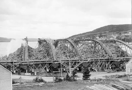 Storing pulp logs at the Gaspé Pulp Mill