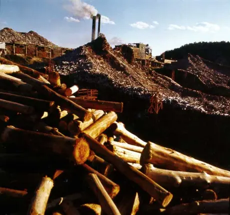 C.I.P. Pulp and Paper Mill conveyor belt