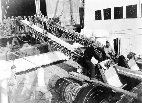 Loading bananas onto a cargo ship