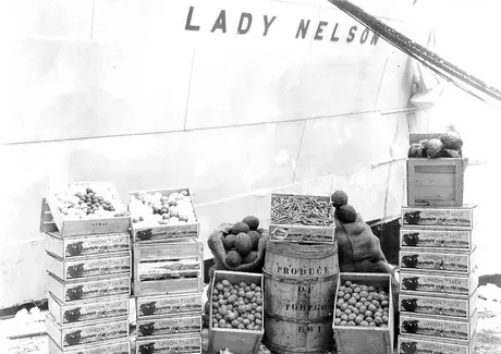 Samples of a produce shipment from the RMS Lady Nelson