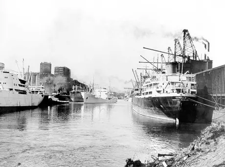 Cargo ship MV Camellia