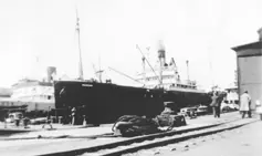 Newfoundland coastal ship SS Random