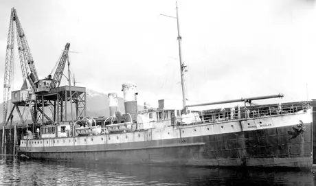Passenger ship SS Prince William at a dry dock