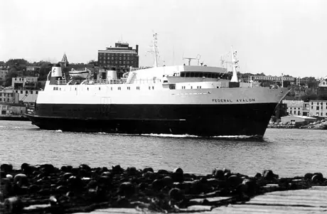 Ferry MV Federal Avalon