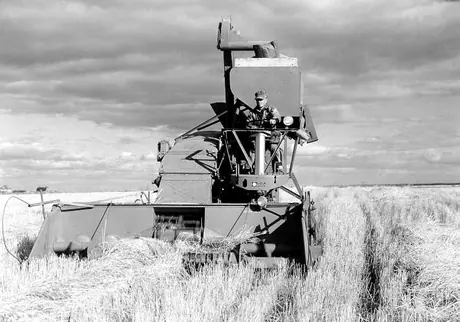 A self-propelled combine harvests wheat