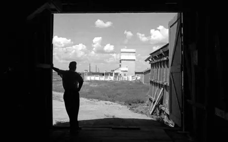 Profile of a grain elevator with a beef stock leading ramp in the foreground