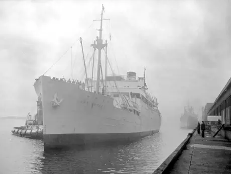 SS Lady Rodney on her last run as a troop carrier with war brides on board