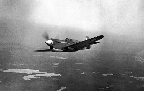 A Kittyhawk from a Canadian Fighter Squadron in flight