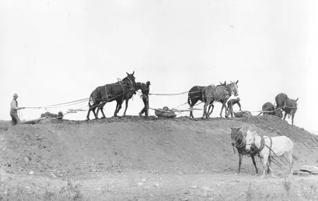 Workers grading railroad right of way in Western Canada