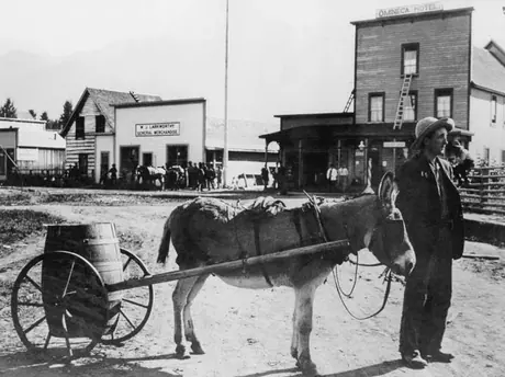 Hazelton waterworks' mule hauling a barrel, Omineca Hotel and W.J. Larksworthy General Merchandise in the background