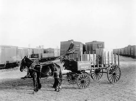 Grand Trunk Pacific Railway Company Bull Dog Wagon, with horses and a driver