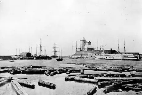 A distant view of Collingwood harbour