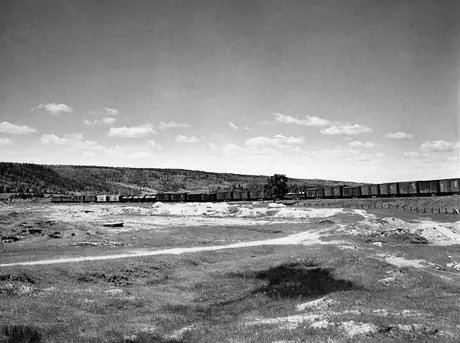 A Canadian National Railways freight train crosses open country
