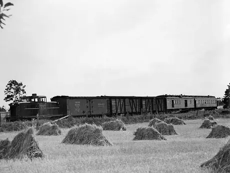 Canadian National Railways diesel locomotive no. 7751 hauls cars past a wheat field in Prince Edward Island