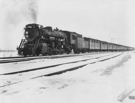 Canadian National Railways steam locomotive no. 3374 hauls a cattle train across frozen countryside