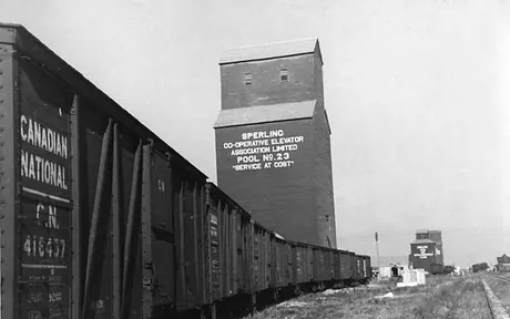 Canadian National Railways grain cars being loaded on the prairies