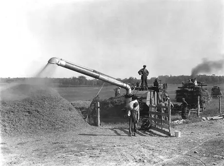 Threshing grain