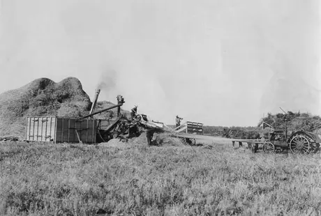 A threshing operation in the prairies