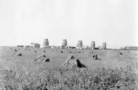 A line of grain elevators near a wheat field in the prairies