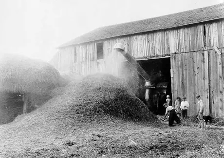 Threshing grain near Flint