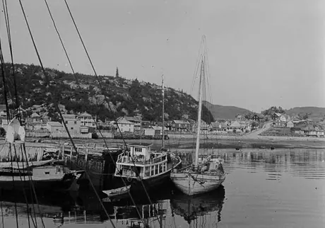 Boats tied up at a dock