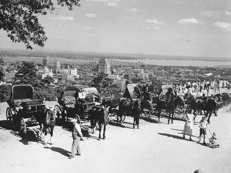 Horse-drawn cabbies on Mount Royal Lookout