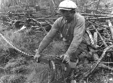 Stump remover