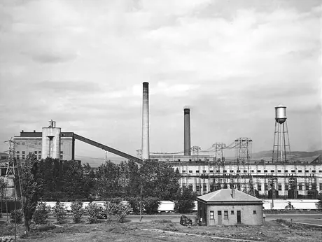 A pulp and paper mill