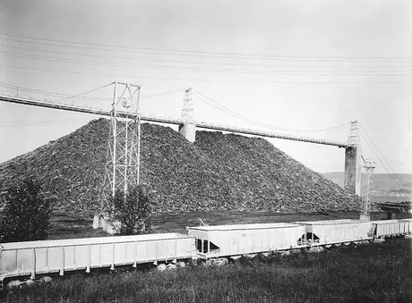 Dump cars beside a pulp pile