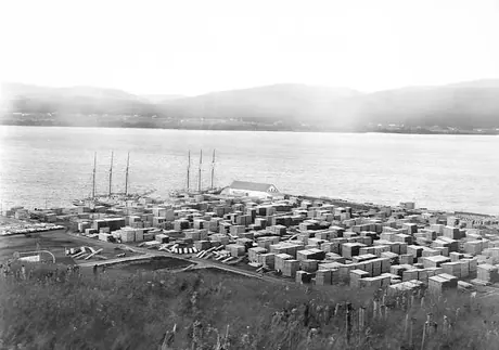 Lumber yards near the harbour