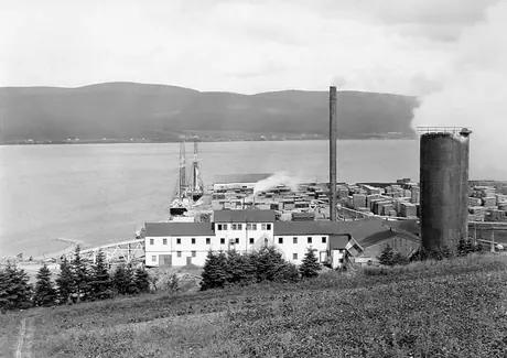 A lumber processing plant