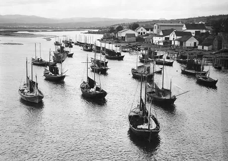 Fishing boats at anchor