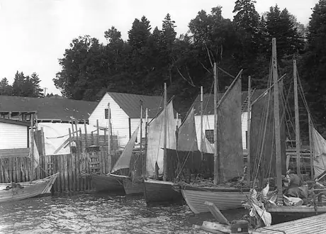 Fishing boats along the dock