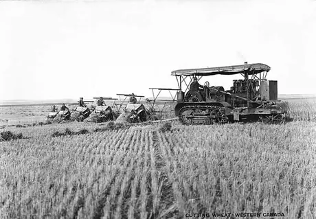 Harvesting wheat on the Prairies