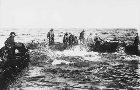 Maritime tuna fishermen