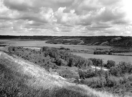 A prairie scene