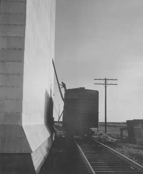 Loading grain into a freight car from a grain elevator on the Canadian Prairies