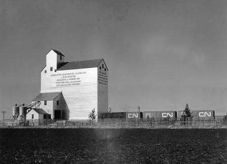 Freight cars line up beside a grain elevator