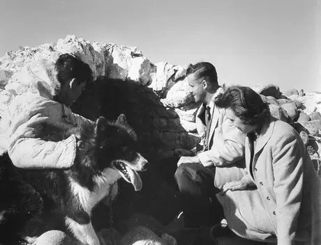 Visitors and Inuk guide