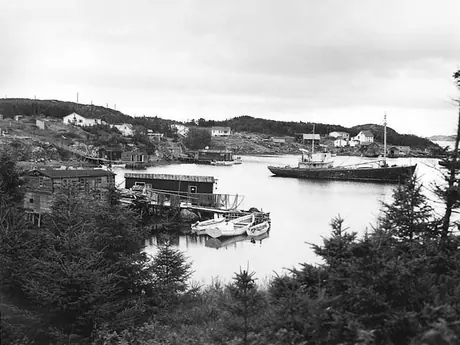 Fishing schooners and small boats in a harbour