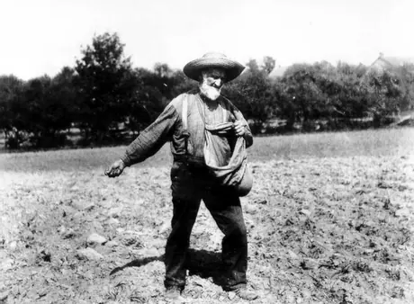 Farmer sowing seeds