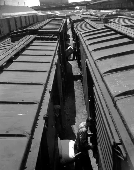 Unloading different shipments at Bonaventure freight terminal