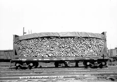 View of lumber car 906900 loaded with logs