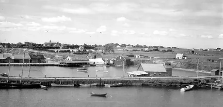 Souris piers