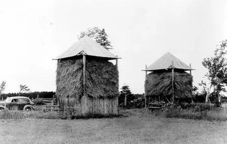 Barracks for storing fodder crops