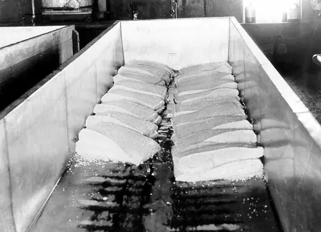Manufacturing of cheese