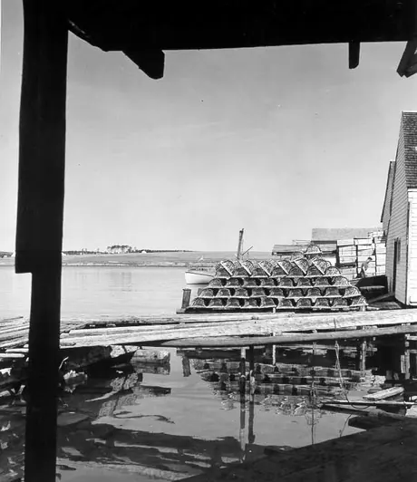 Fishing wharf, P.E.I.