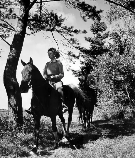 Horseback riding near Charlottetown
